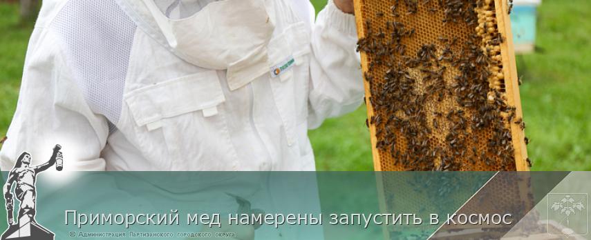 Приморский мед намерены запустить в космос | Администрация муниципального округа город Партизанск Приморского края Официальный сайт