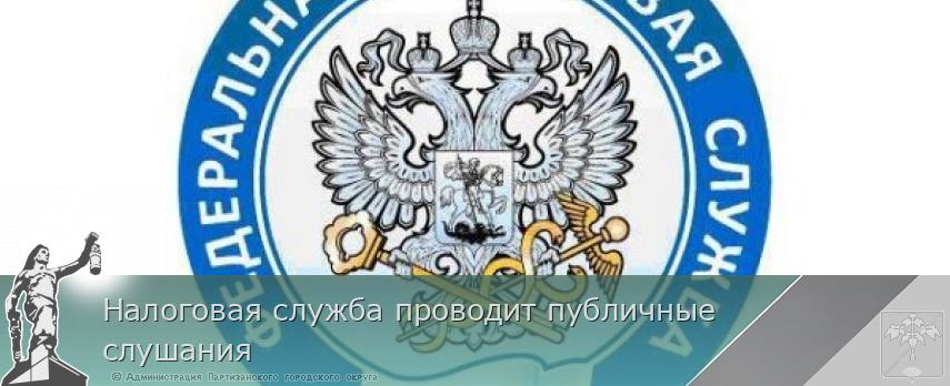 Налоговая служба проводит публичные слушания | Администрация муниципального округа город Партизанск Приморского края Официальный сайт