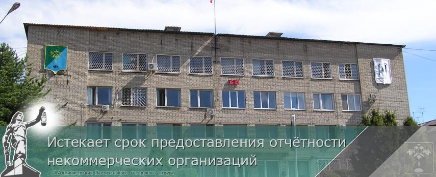 Истекает срок предоставления отчётности некоммерческих организаций | Администрация муниципального округа город Партизанск Приморского края Официальный сайт