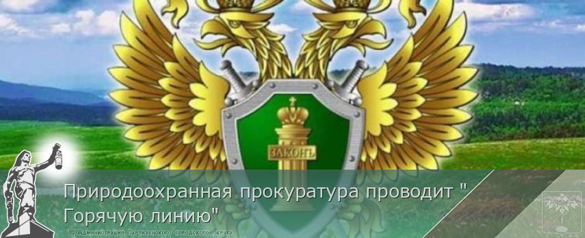 Природоохранная прокуратура проводит "Горячую линию" | Администрация муниципального округа город Партизанск Приморского края Официальный сайт