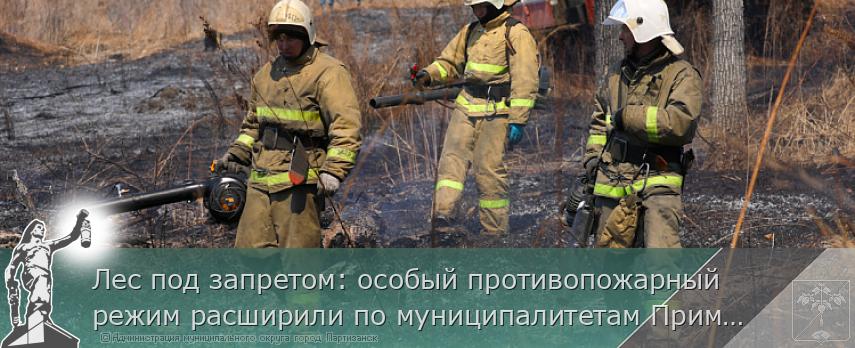 Лес под запретом: особый противопожарный режим расширили по муниципалитетам Приморья | Администрация муниципального округа город Партизанск Приморского края Официальный сайт