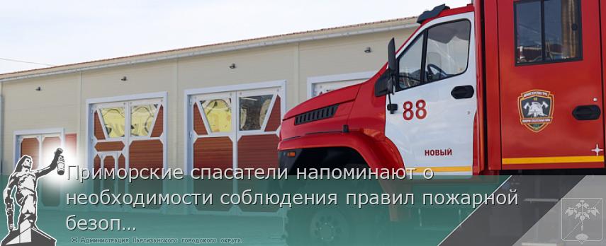 Приморские спасатели напоминают о необходимости соблюдения правил пожарной безопасности. ПАМЯТКА | Администрация муниципального округа город Партизанск Приморского края Официальный сайт
