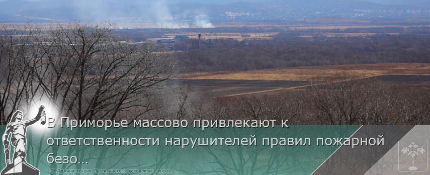 В Приморье массово привлекают к ответственности нарушителей правил пожарной безопасности в лесах, сообщает www.primorsky.ru | Администрация муниципального округа город Партизанск Приморского края Официальный сайт