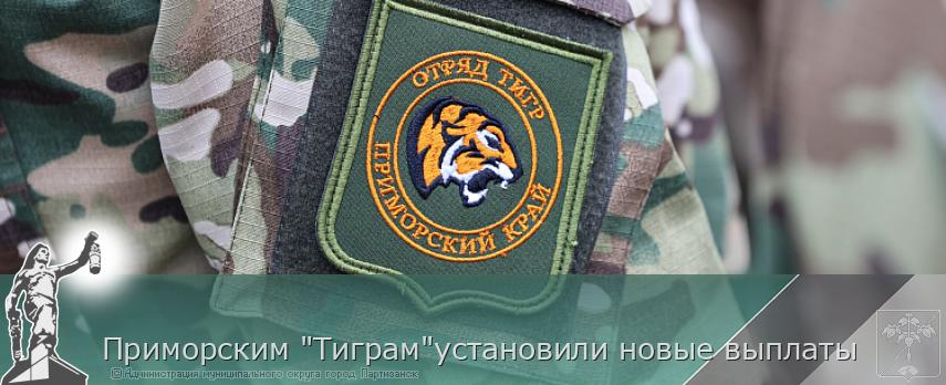 Приморским "Тиграм"установили новые выплаты | Администрация муниципального округа город Партизанск Приморского края Официальный сайт