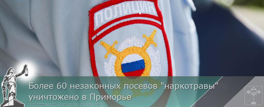 Более 60 незаконных посевов "наркотравы" уничтожено в Приморье | Администрация муниципального округа город Партизанск Приморского края Официальный сайт